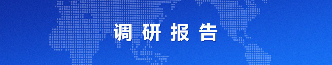 调研报告