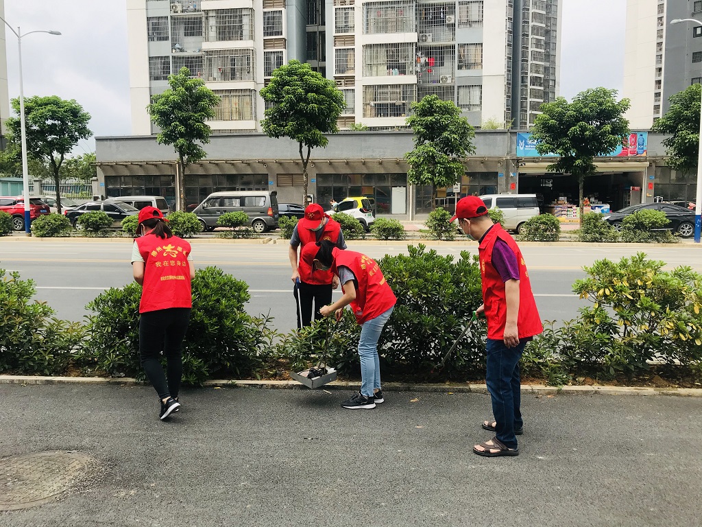 全国文明城市】市政府发展研究中心到板栗园社区开展创城志愿服务活动